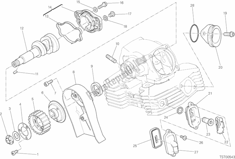 All parts for the Vertical Cylinder Head - Timing of the Ducati Scrambler Urban Enduro Thailand USA 803 2016